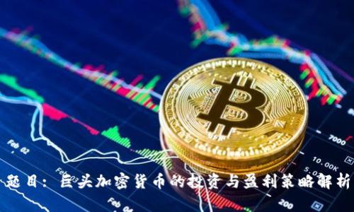 题目: 巨头加密货币的投资与盈利策略解析
