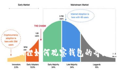 揭秘小狐狸如何观察钱包的奇妙过程