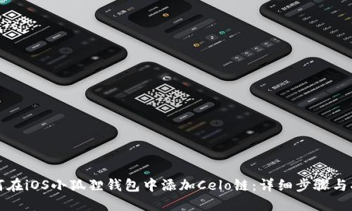 如何在iOS小狐狸钱包中添加Celo链：详细步骤与指南