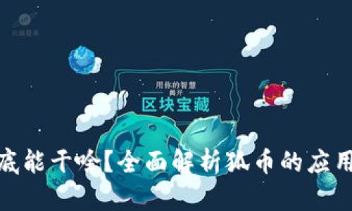 狐币到底能干啥？全面解析狐币的应用与价值