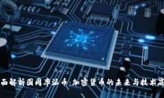 全面解析圆周率派币：加